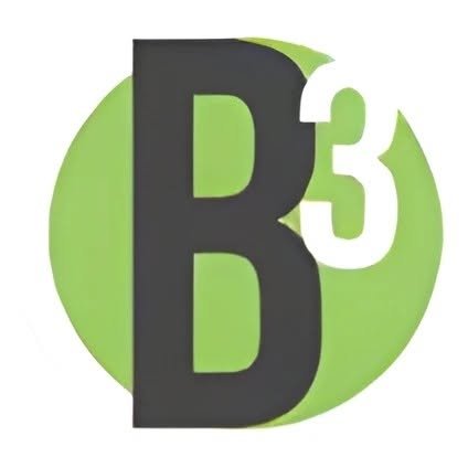 B-3 GROUP